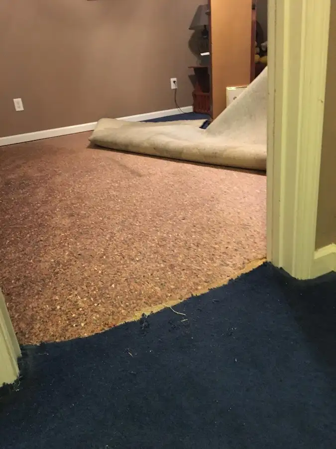 Carpet pad removal revealing water damage during Water Mitigation Services in Pittsfield