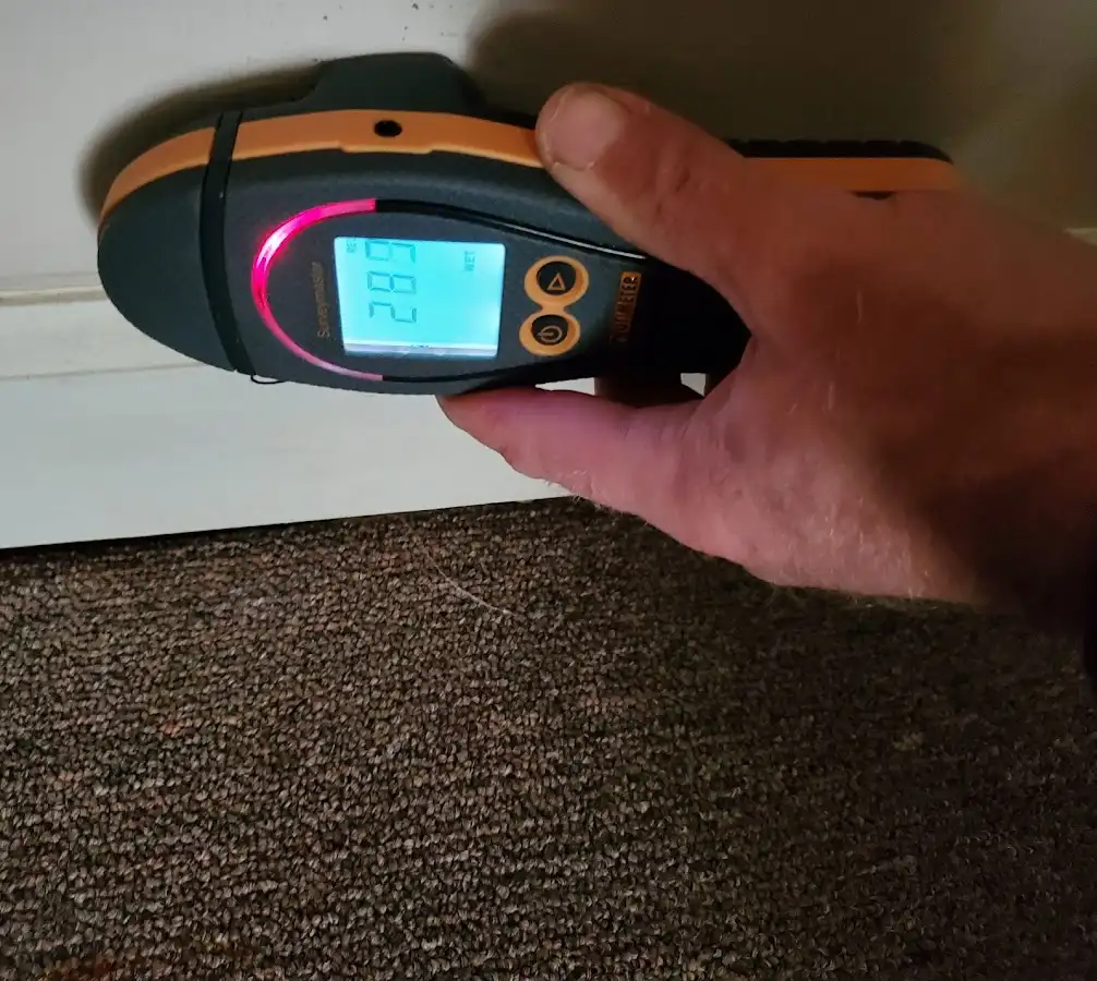 Moisture detection at baseboard during Sewage Cleanup & Sanitation in Pittsfield